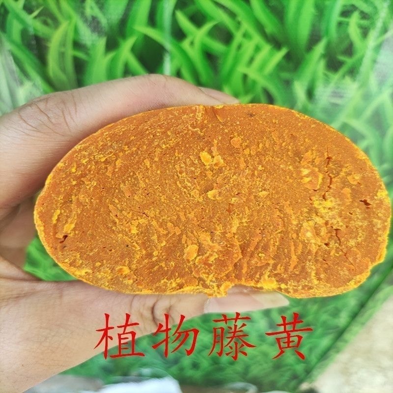 藤黄中药材***冷背中药材大全批发零售货真价实