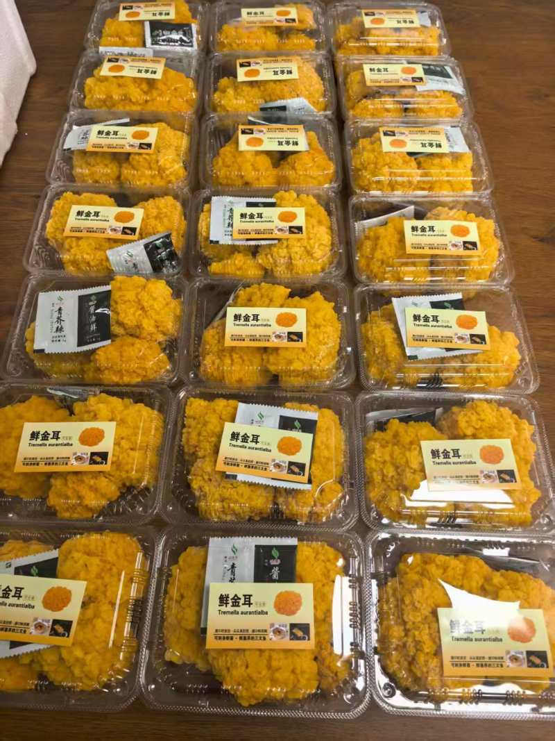 鲜金耳大量有货厂地直发货源保障价格实惠