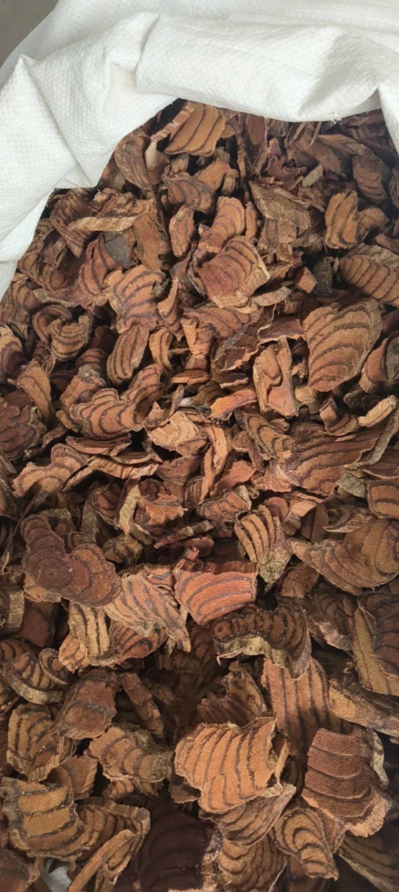 （热销）鸡血藤血丝红产区直供货源充足量大从优视频看货