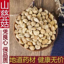 山慈菇中药材冷背中药材大全，批发市零售货真价实