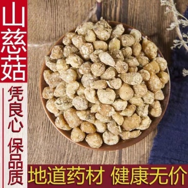 山慈菇中药材冷背中药材大全，批发市零售货真价实
