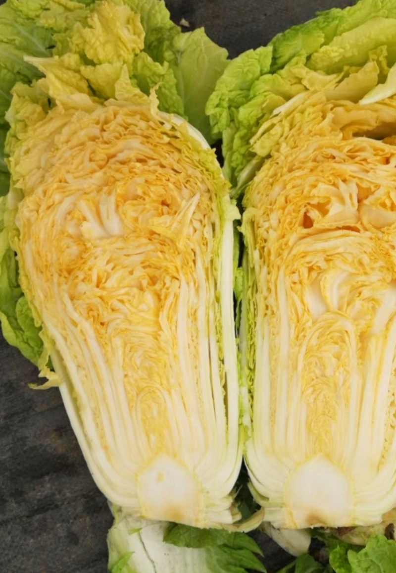 黄心白菜