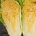 黄心白菜