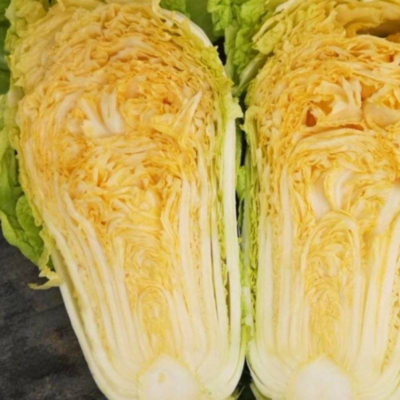 黄心白菜