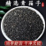 青箱子中药材冷背中药材大全批发零售货真价实