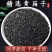 青箱子中药材冷背中药材大全批发零售货真价实