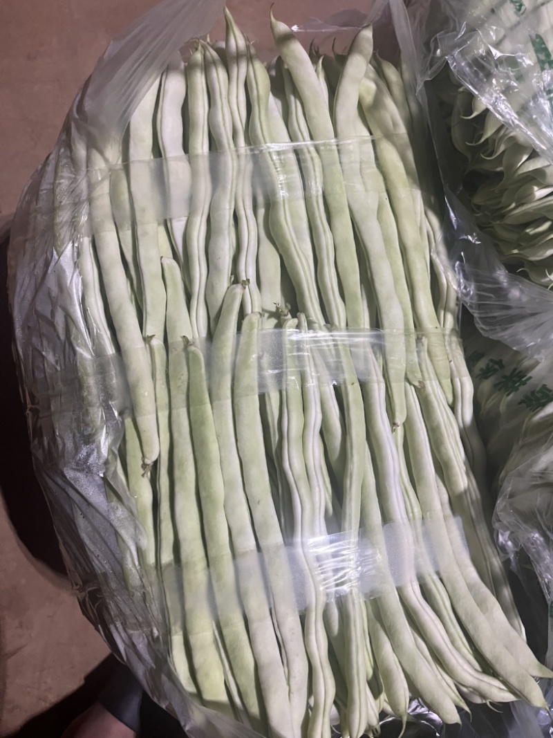 白芸豆