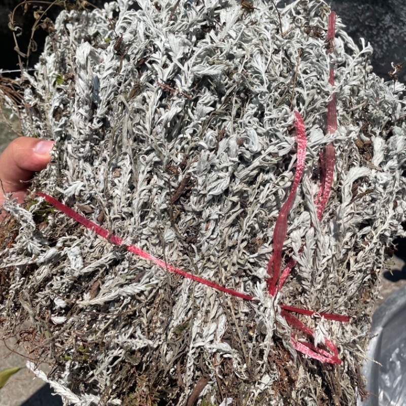 鹿茸草中药材冷背中药材大全货真价实批发零售