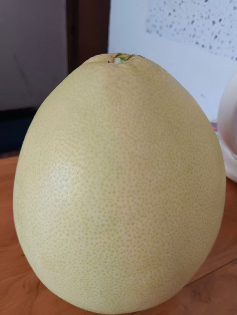 套袋三红柚，白柚