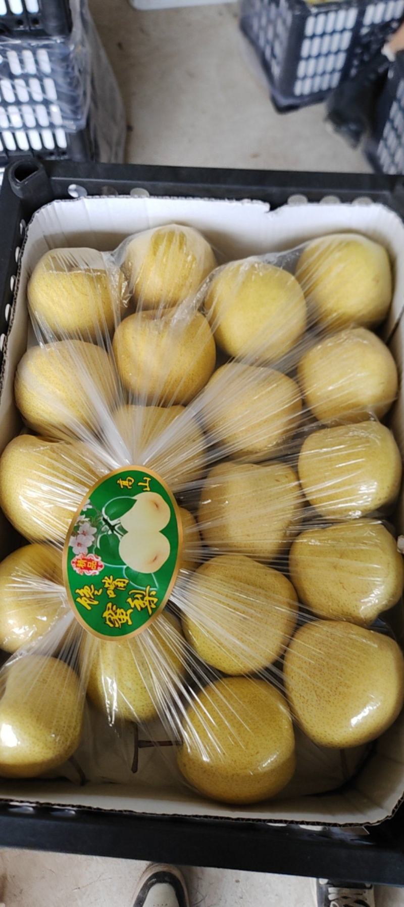 冰糖蜜梨