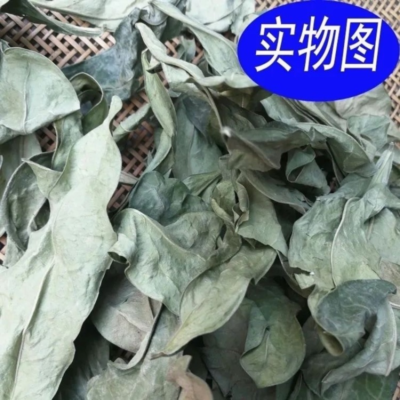 龙脷叶中药材冷背中药材大全批发零售货真价实龙利叶