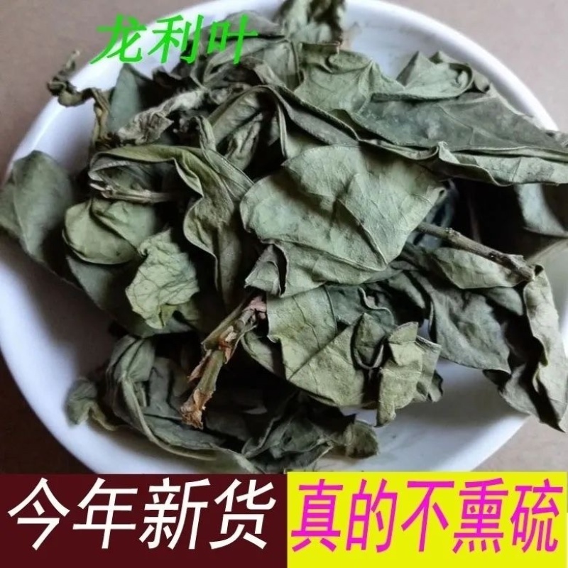 龙脷叶中药材冷背中药材大全批发零售货真价实龙利叶
