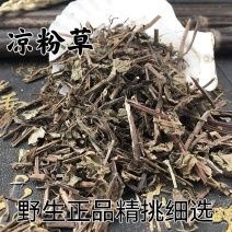 凉粉草中药材冷背中药材大全批发零售货真价实