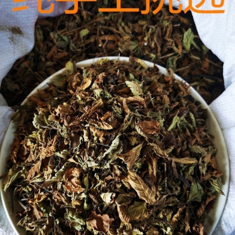 凉粉草中药材冷背中药材大全批发零售货真价实