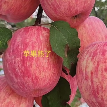 为你点赞