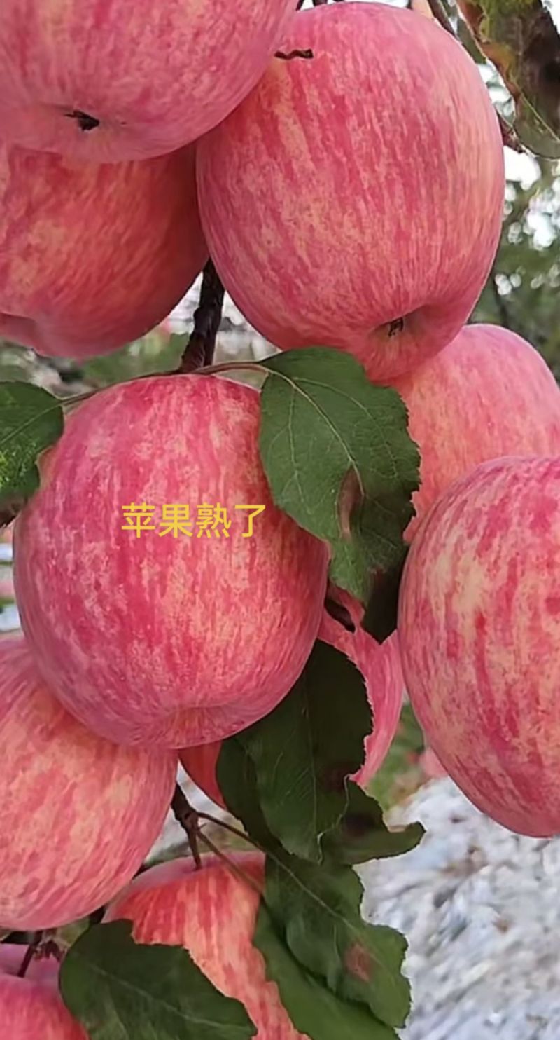 为你点赞