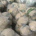 河北昌黎有机花菜大量有货常年供应市场商超平台合作愉快
