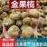 金果揽中药材冷背中药材大全批发零售货真价实