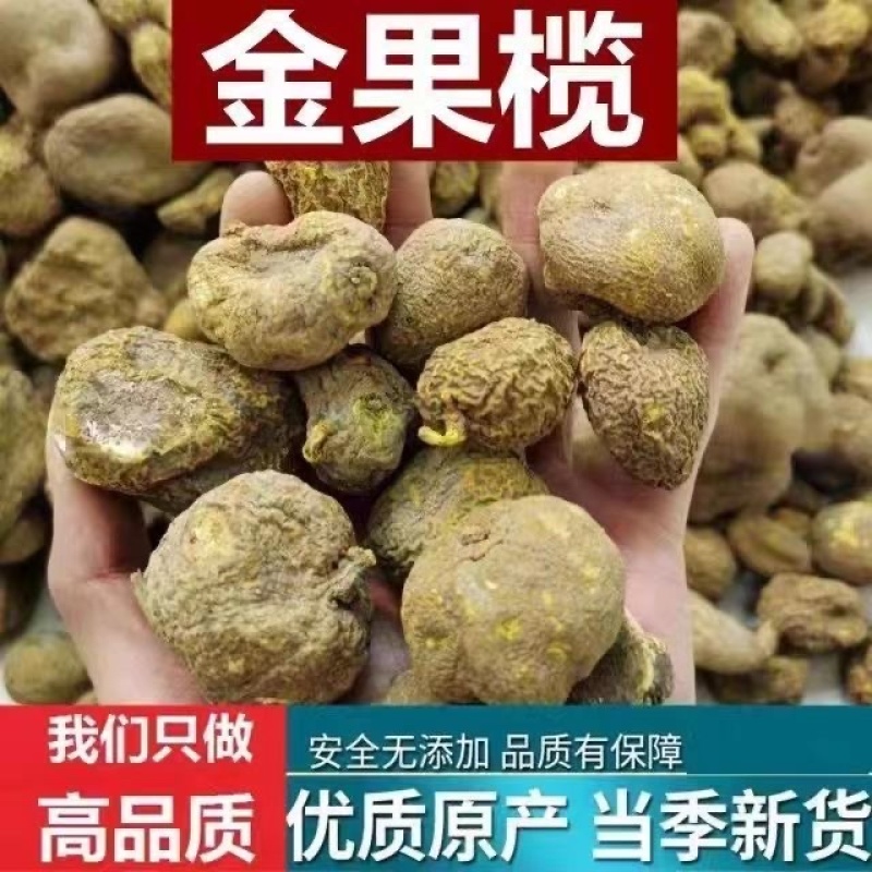 金果揽中药材冷背中药材大全批发零售货真价实