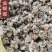 金蝴蝶锦地罗文钱红中药材冷背中药材大全