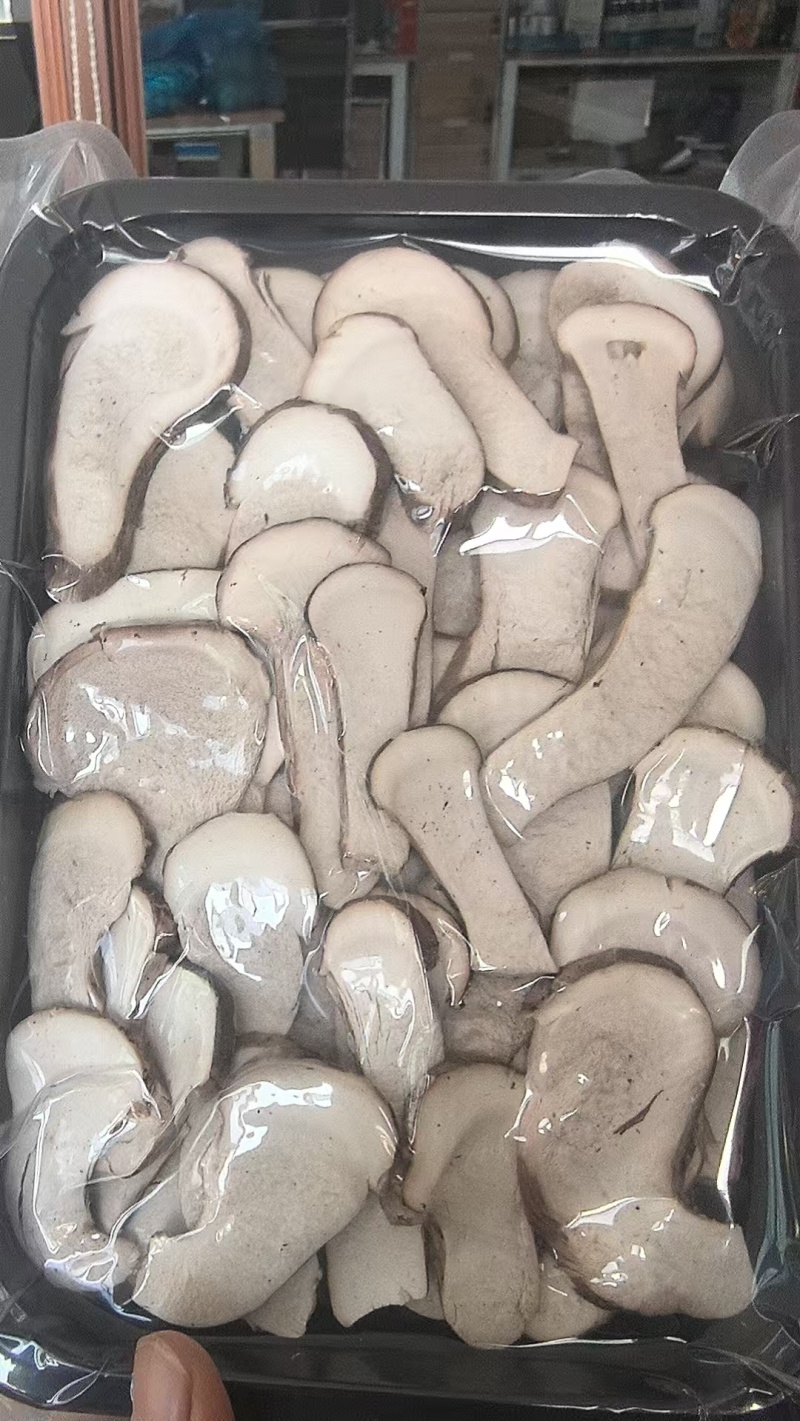 松茸干片批发冻干片