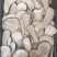 松茸干片批发冻干片