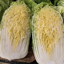 忻州大白菜、黄心白菜、大娃娃菜