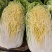 忻州大白菜、黄心白菜、大娃娃菜