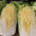 忻州大白菜、黄心白菜、大娃娃菜
