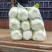 忻州大白菜、黄心白菜、大娃娃菜