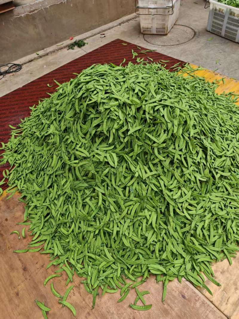 高品质荷兰豆豌豆，量大全年供应，有需要随时联系
