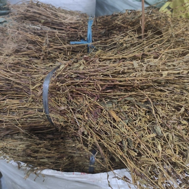 鸡心黄中药材冷背中药材大全批发零售货真价实