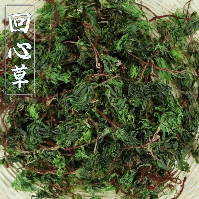 回心草中药材冷背中药材大全批发零售货真价实