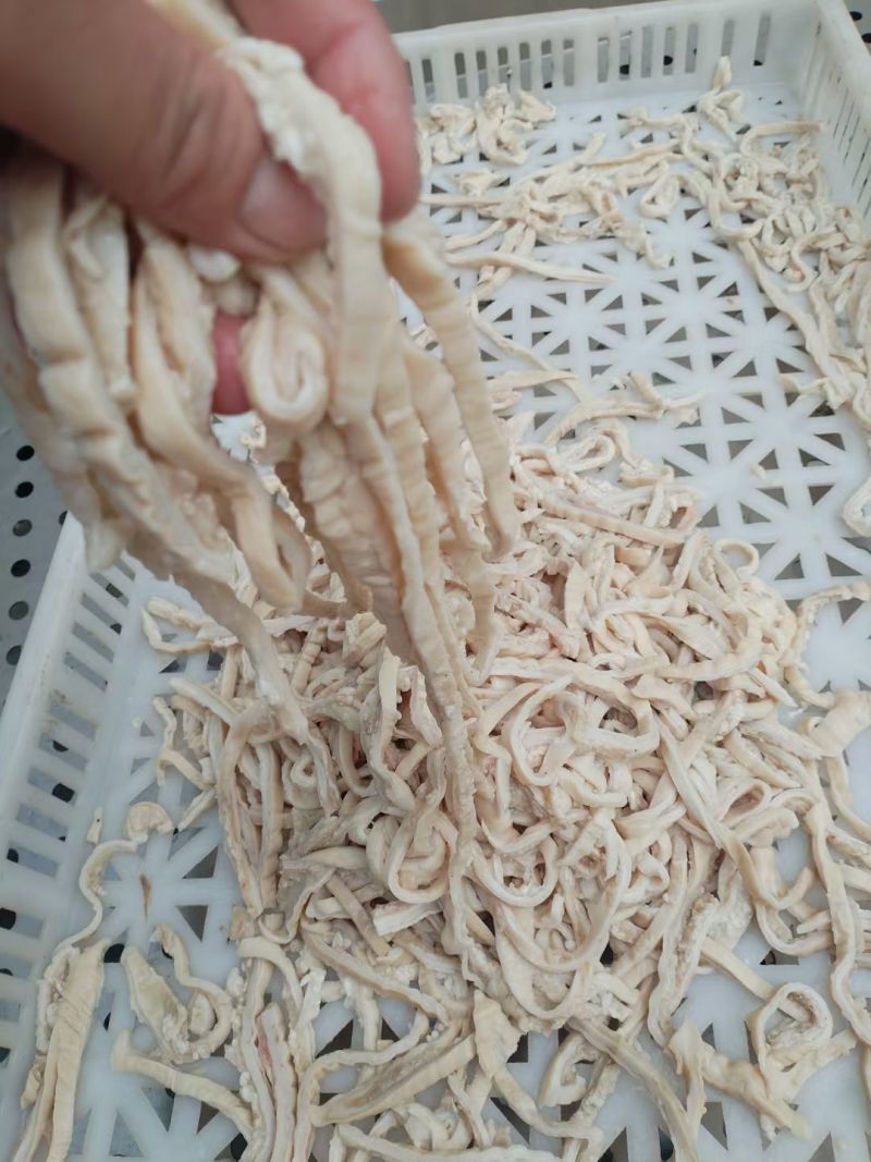 肥肠丝肥肠片每天生产