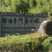 丽水龙泉，深山野生春笋，一手货源，价格优惠
