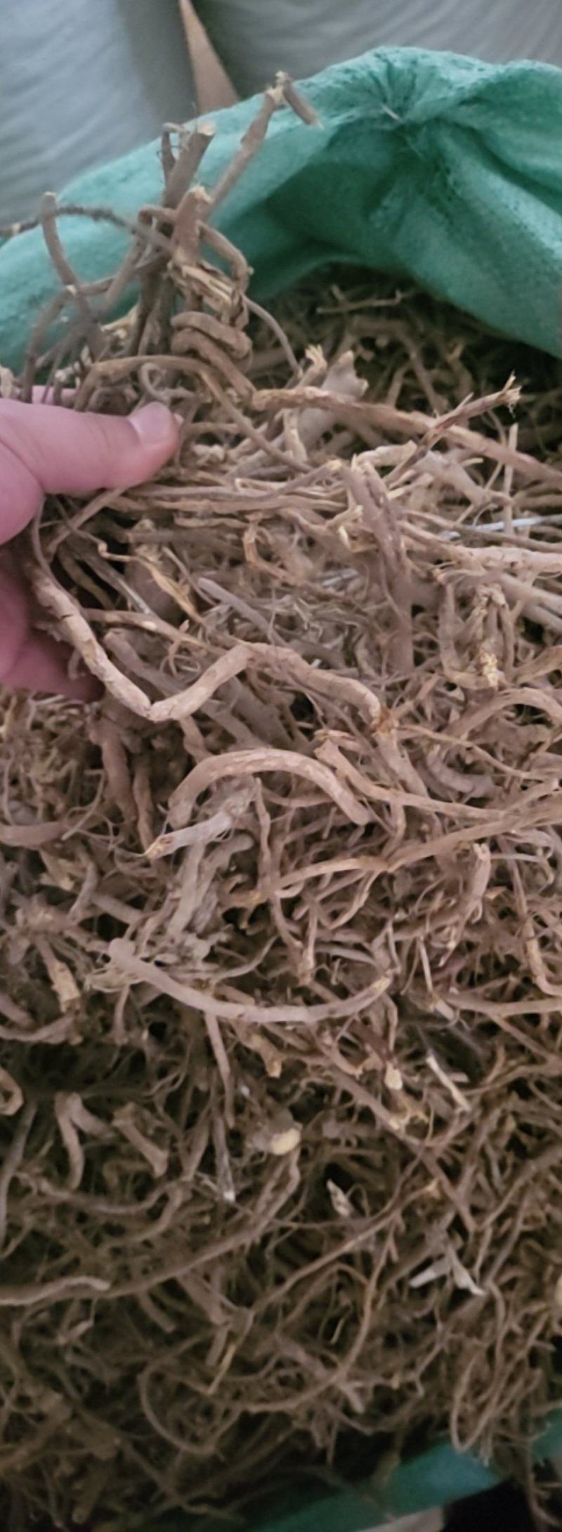 甘草条草原装保含量几十吨，高含量