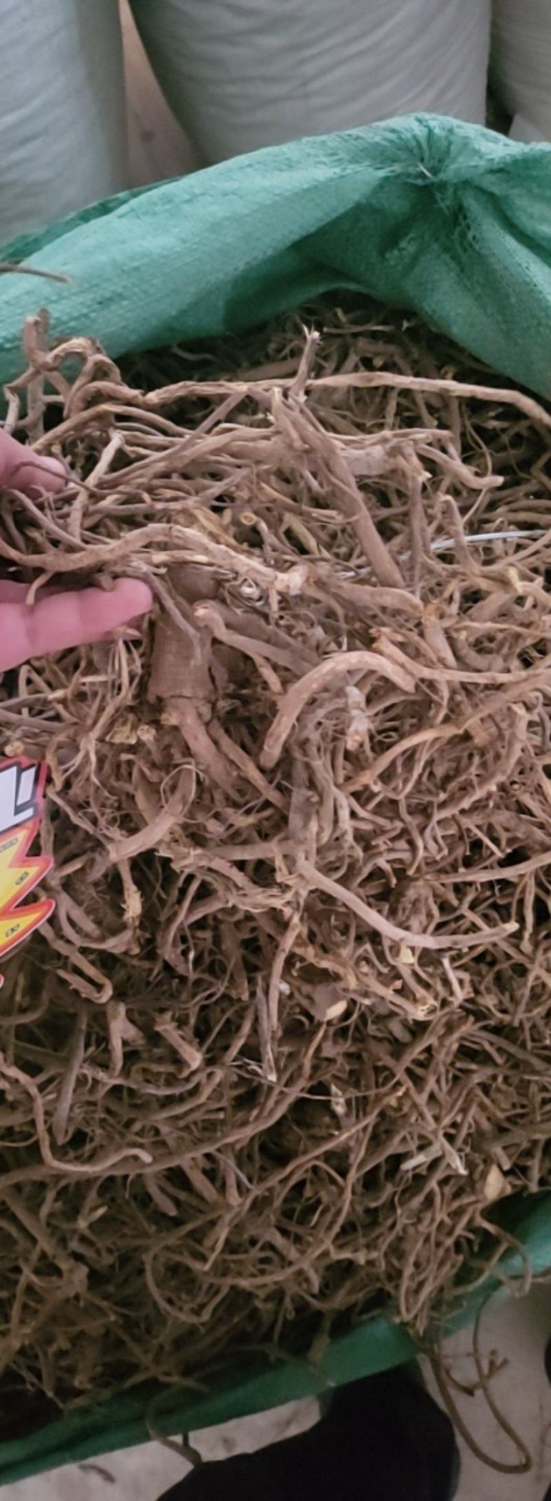 甘草条草原装保含量几十吨，高含量