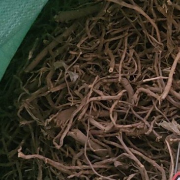 甘草条草原装保含量几十吨，高含量