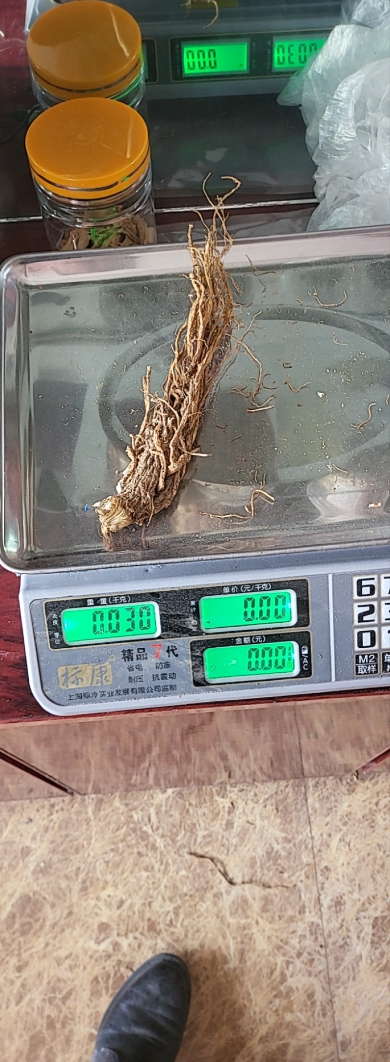 川当归水洗个子及切片各种规格批发