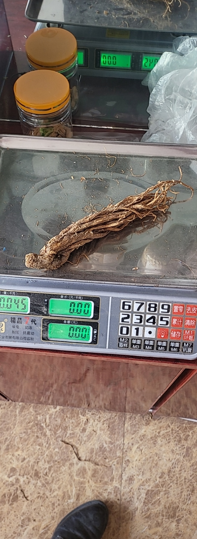川当归水洗个子及切片各种规格批发