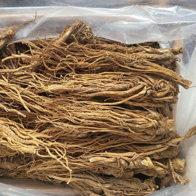 川当归水洗个子及切片各种规格批发
