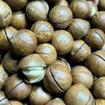 夏威夷果