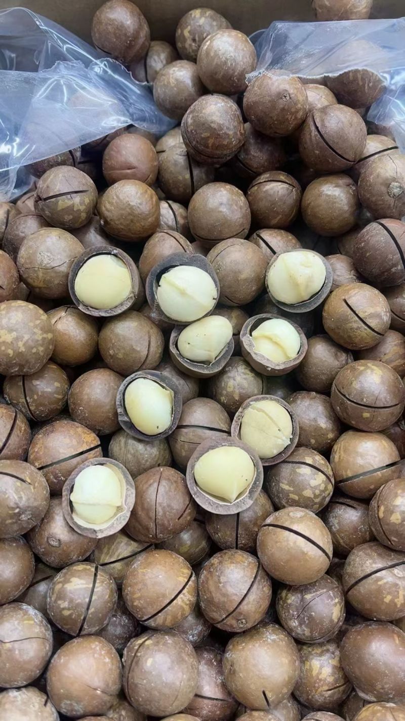 夏威夷果