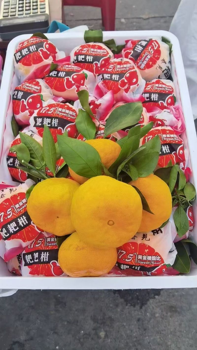 耙耙柑产地大量供应中对接电商平台社区团购市场支持一件代发