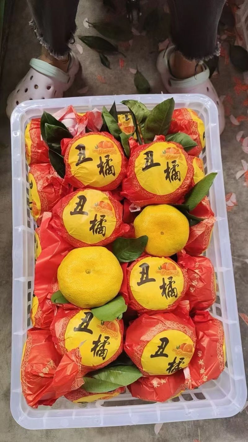 耙耙柑产地大量供应中对接电商平台社区团购市场支持一件代发