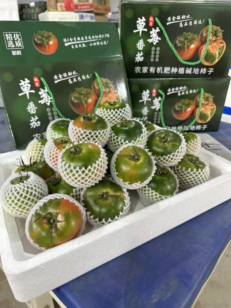 草莓西红柿大量上市产地直发可视频看货
