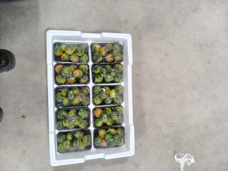 草莓西红柿大量上市产地直发可视频看货