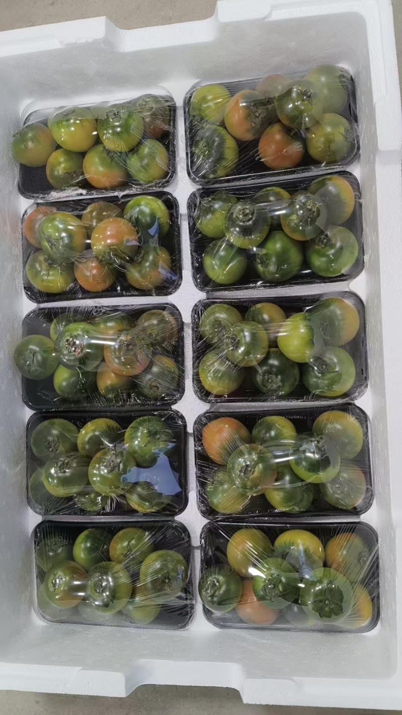 草莓西红柿大量上市产地直发可视频看货