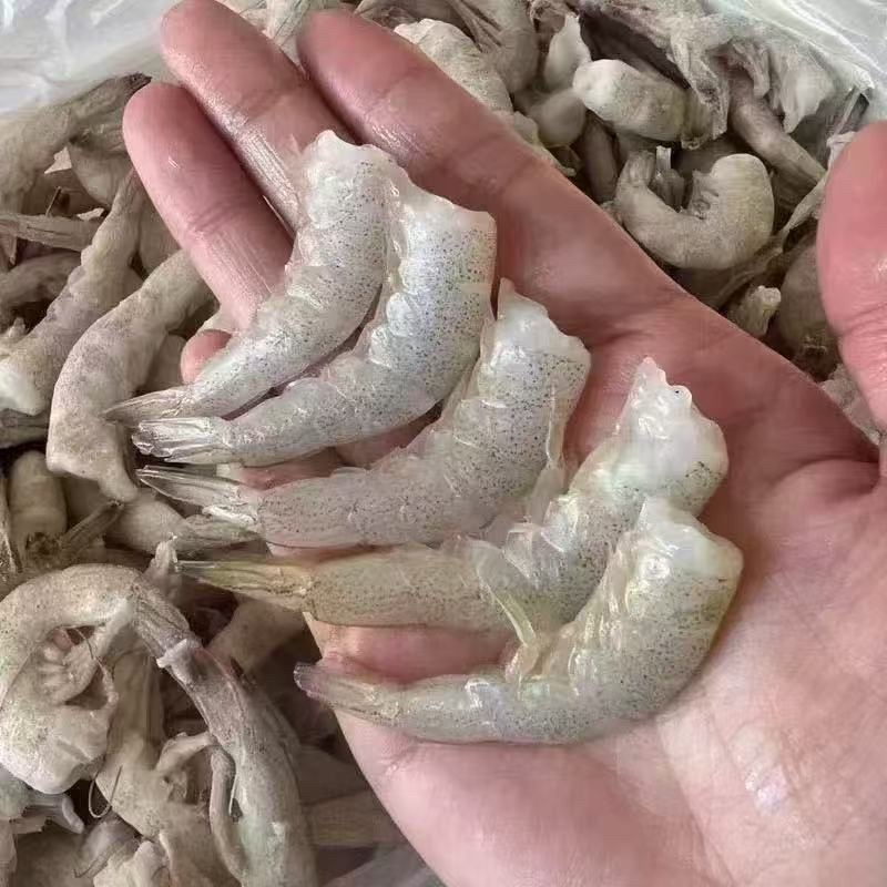 羊毛虾尾，不包冰，连云港源头货源供应批发
