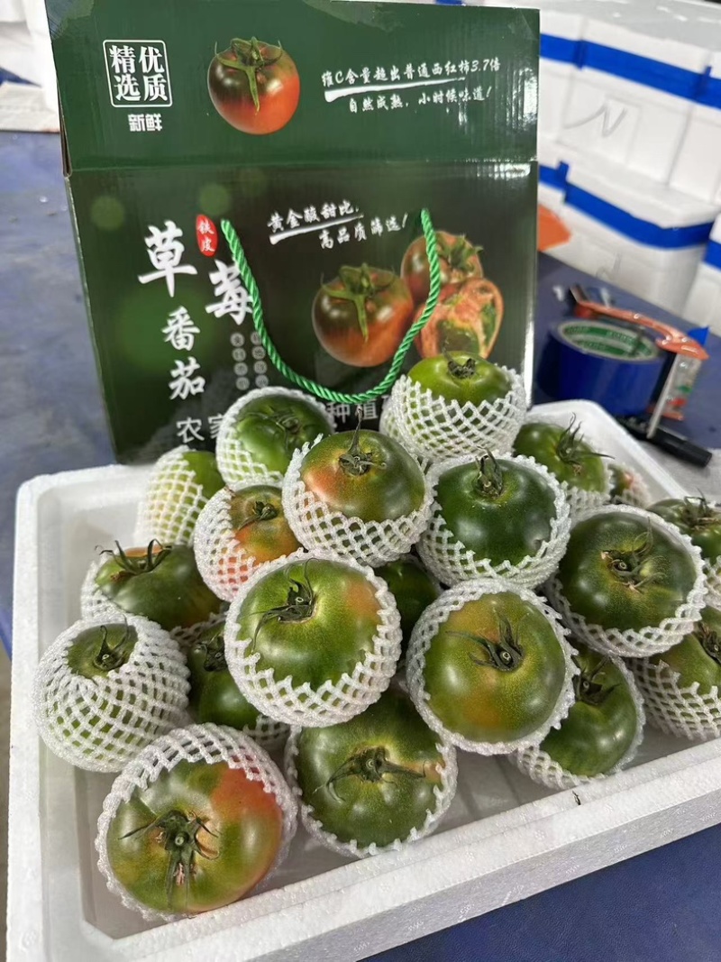 草莓柿子品种齐全常年供货精品直供代发全国